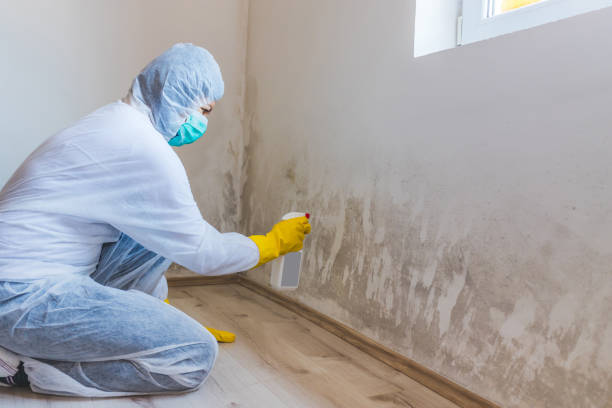 Mold Remediation specialist working in Boerne