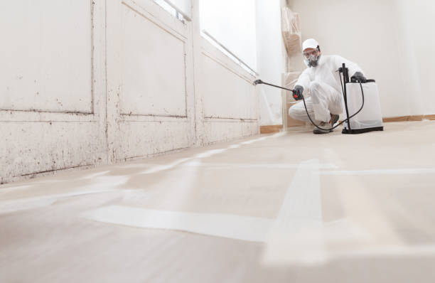 Post-remediation clearance in Boerne